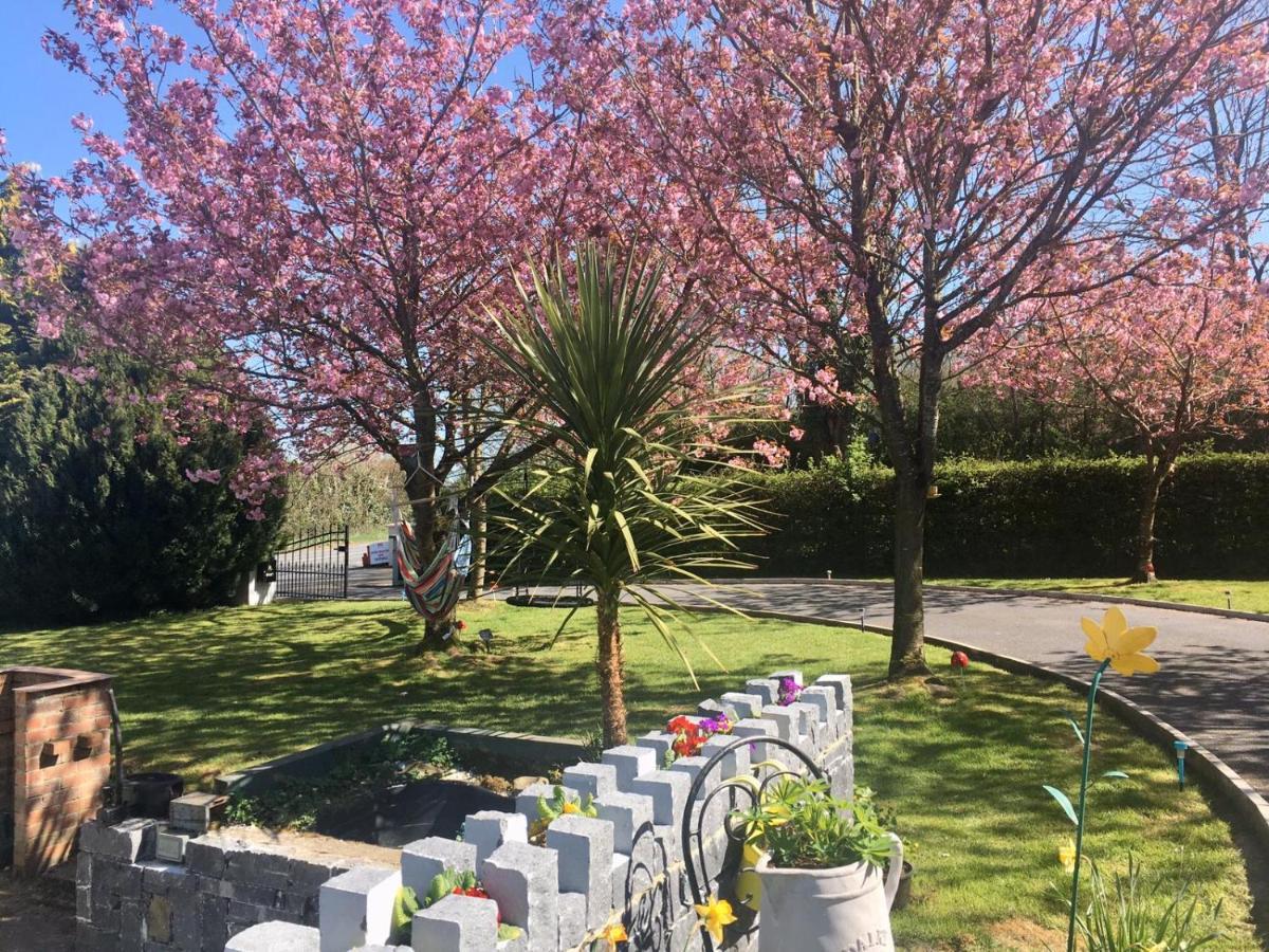 Graisin Apartment Kilkenny Bagian luar foto