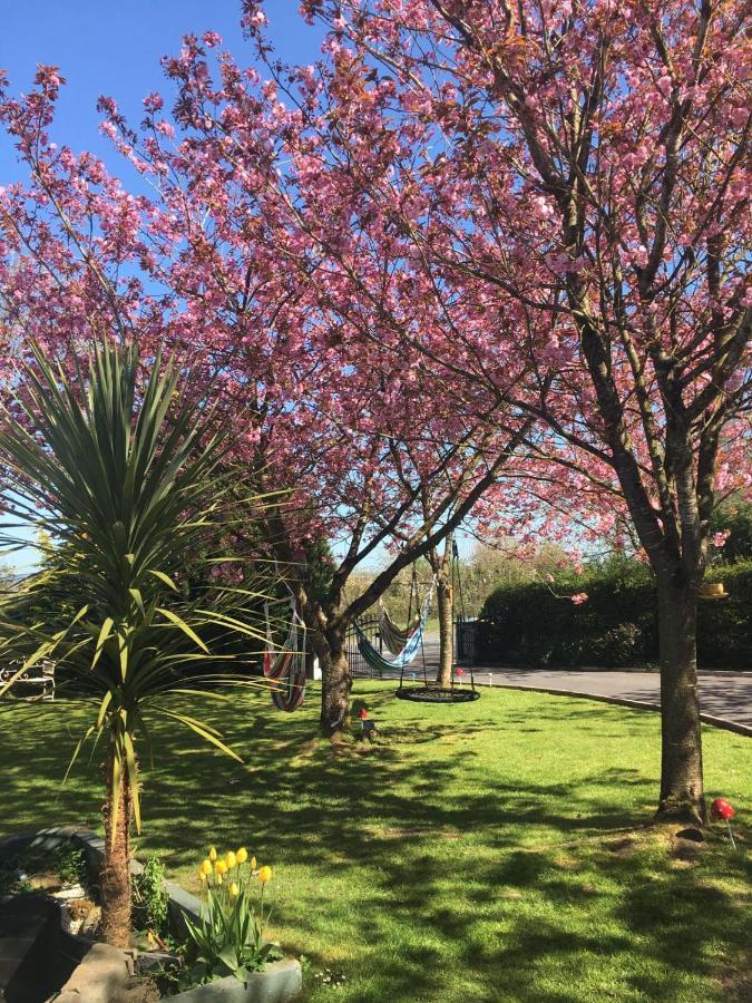 Graisin Apartment Kilkenny Bagian luar foto