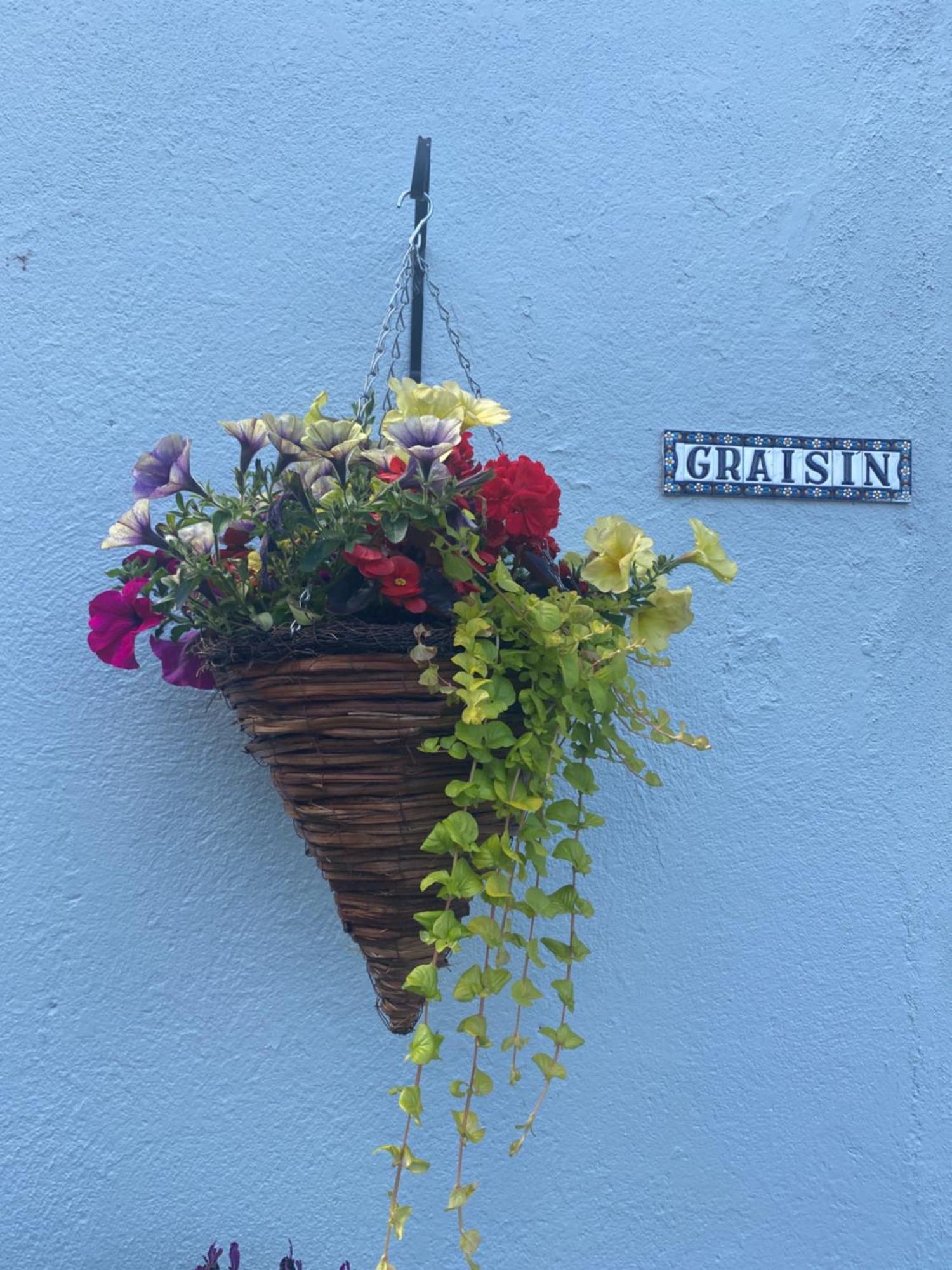 Graisin Apartment Kilkenny Bagian luar foto
