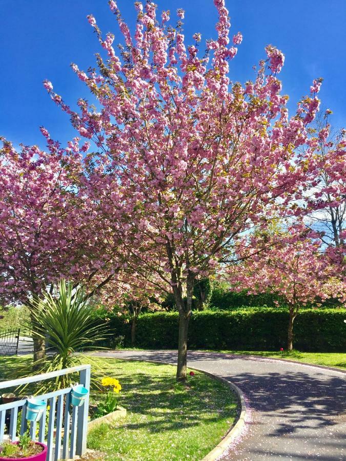 Graisin Apartment Kilkenny Bagian luar foto