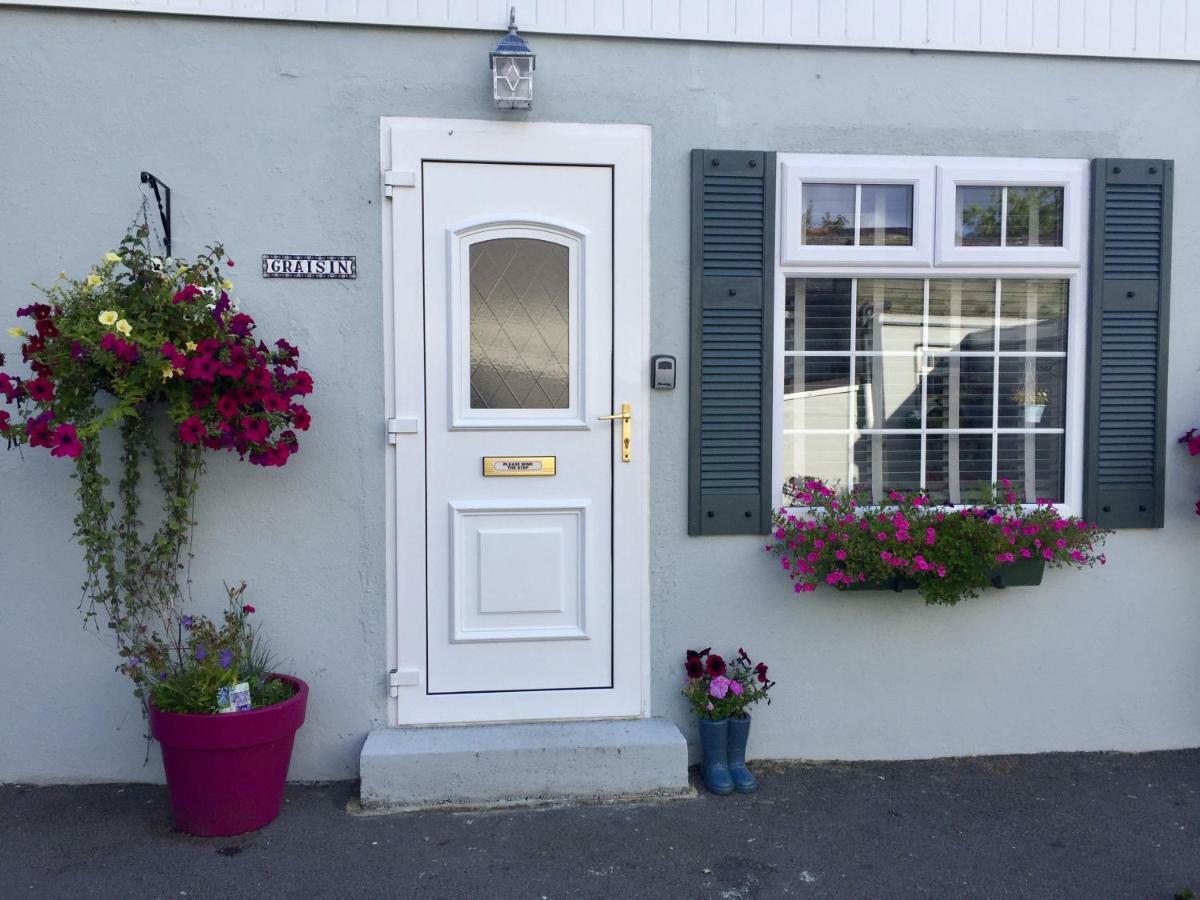 Graisin Apartment Kilkenny Bagian luar foto